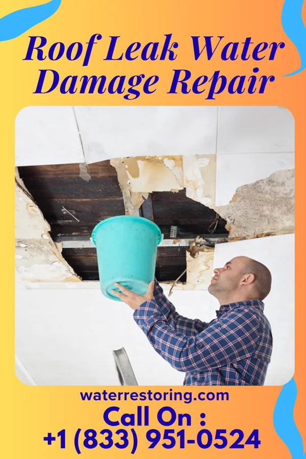 Roof Leak Water Damage Repair in Oakley, UT